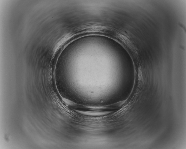 X0000100781164200806261622