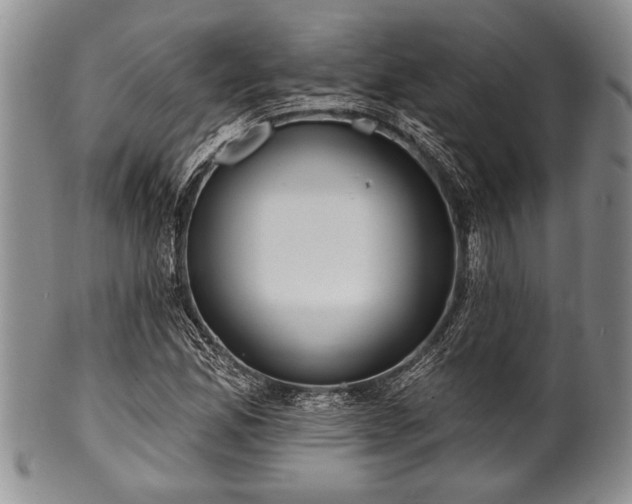 X0000100781165200806261622