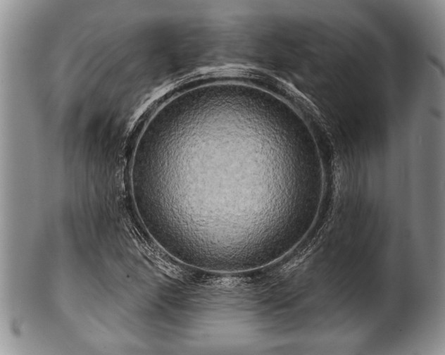 X0000100781166200806261622