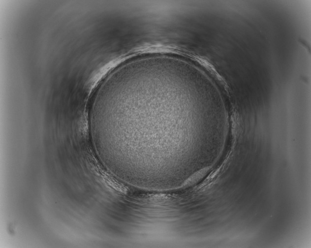 X0000100781167200806261622