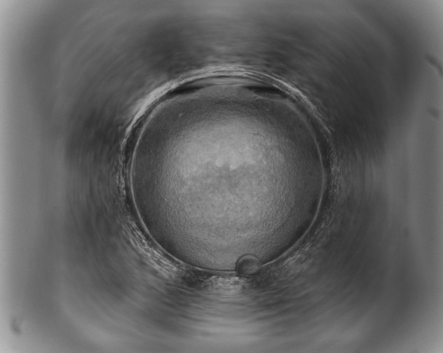 X0000100781168200806261622