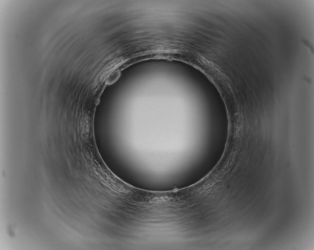 X0000100781169200806261622