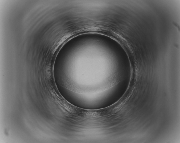 X0000100781170200806261622