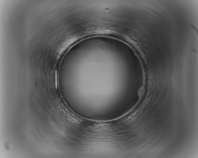 X0000100781171200806261622