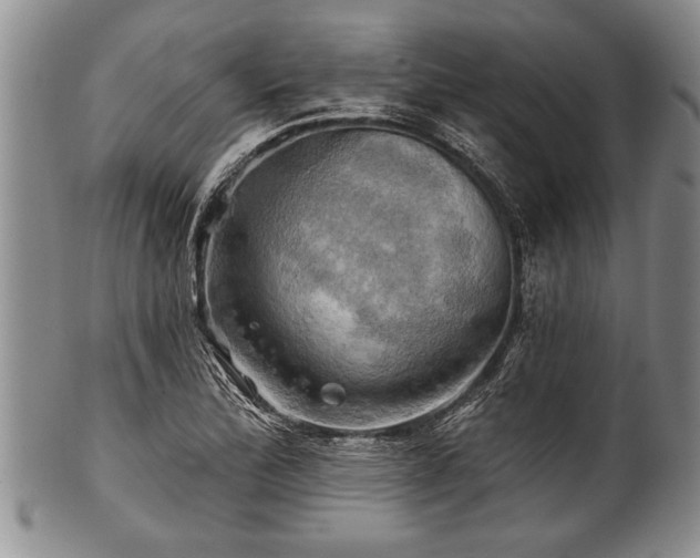 X0000100781172200806261622