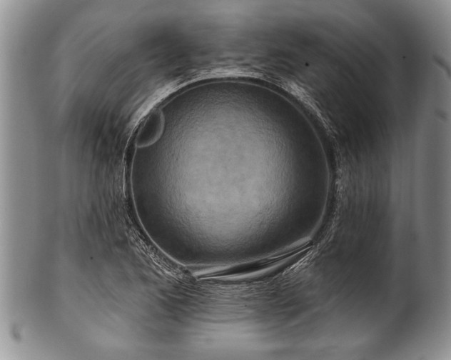 X0000100781173200806261622