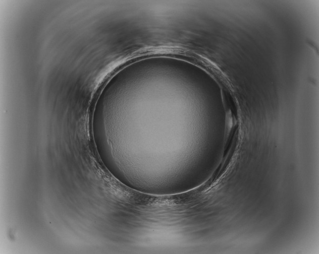 X0000100781174200806261622