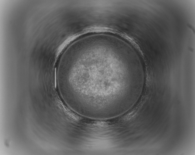 X0000100781175200806261622