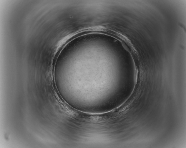 X0000100781176200806261622