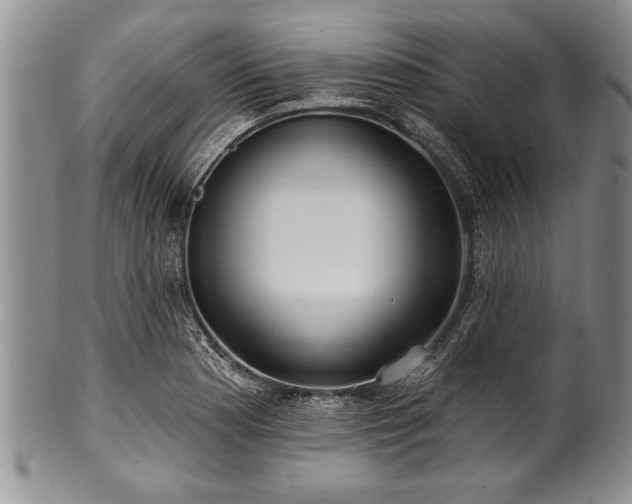 X0000100781177200806261622