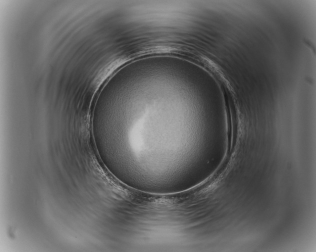 X0000100781178200806261622