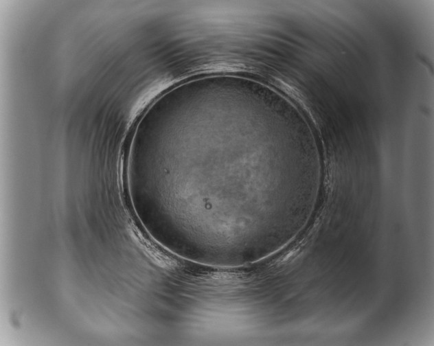 X0000100781179200806261622