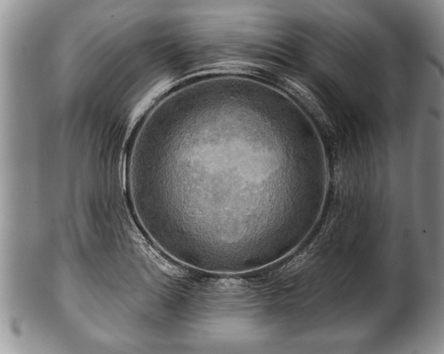 X0000100781180200806261622