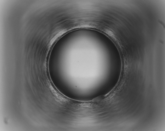 X0000100781181200806261622