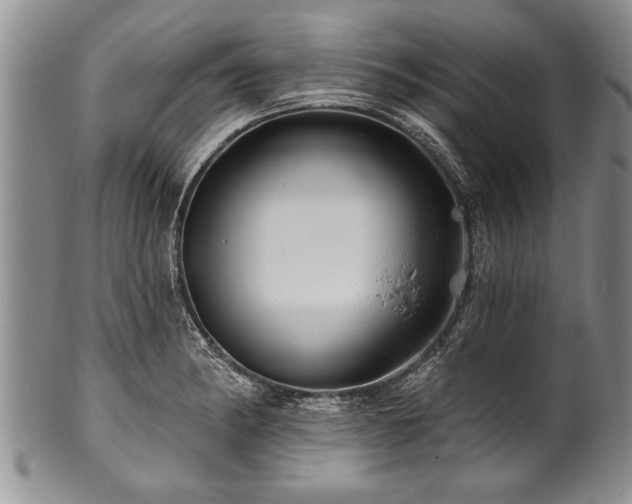 X0000100781182200806261622