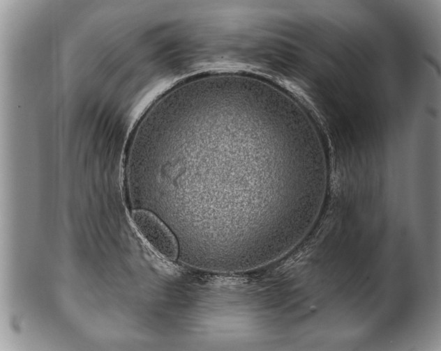 X0000100781183200806261622