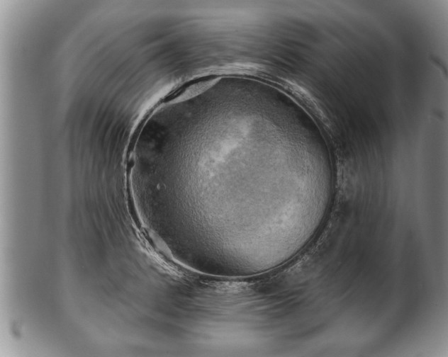 X0000100781184200806261622