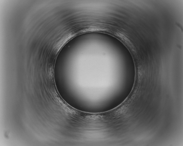 X0000100781185200806261622