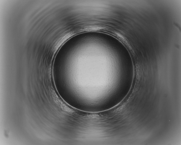 X0000100781186200806261622