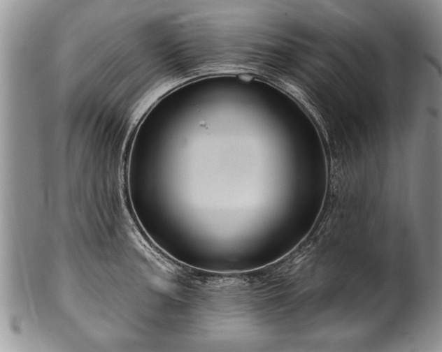 X0000100781187200806261622