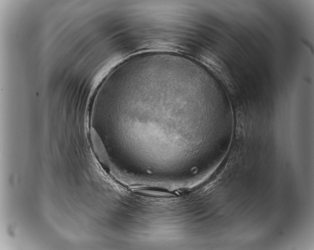 X0000100781188200806261622