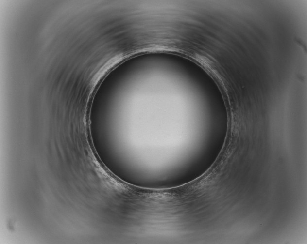 X0000100781189200806261622