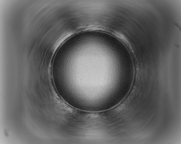 X0000100781190200806261622