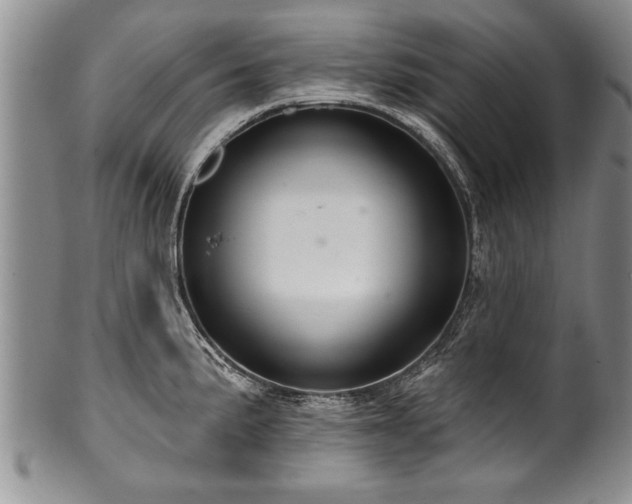 X0000100781191200806261622