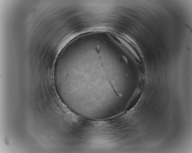 X0000100781192200806261622