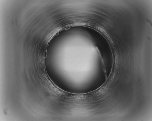 X0000100781193200806261622