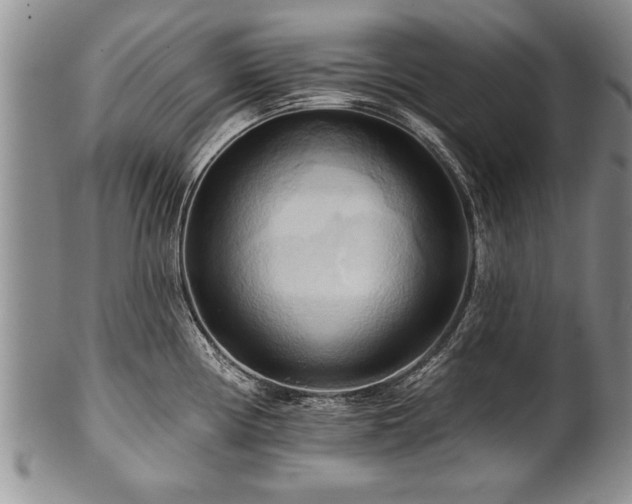 X0000100781194200806261622