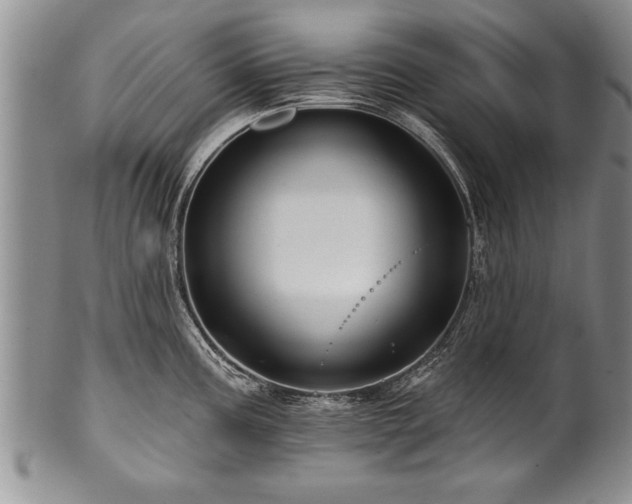 X0000100781195200806261622