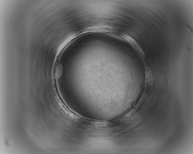 X0000100781196200806261622