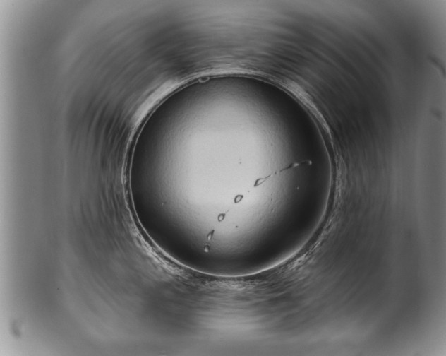 X0000100781197200806261622