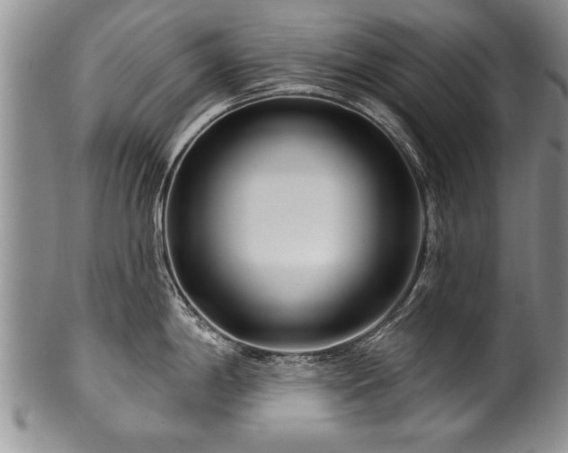 X0000100781198200806261622