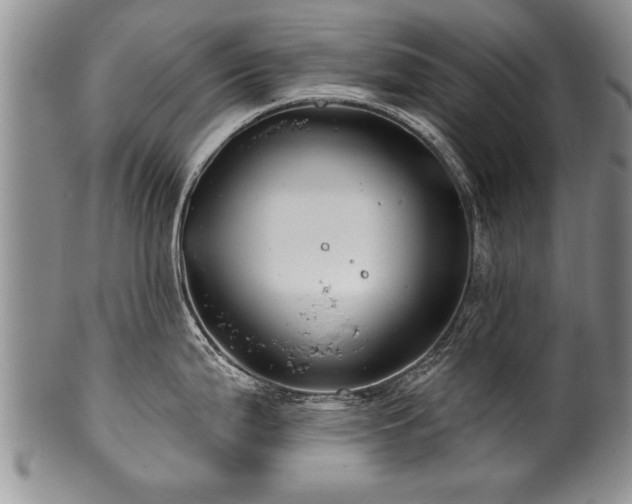 X0000100781199200806261622