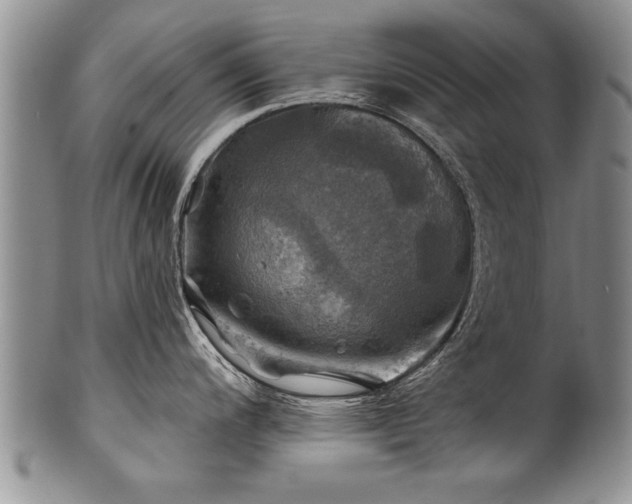 X0000100781200200806261622