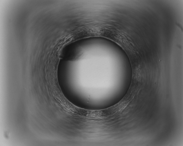 X0000100781201200806261621