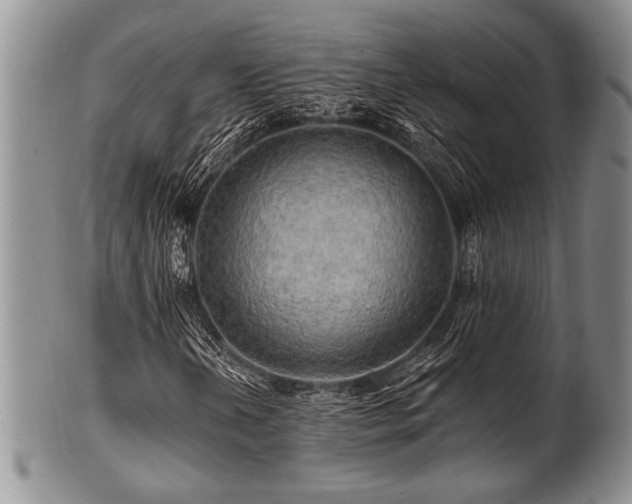 X0000100781202200806261621