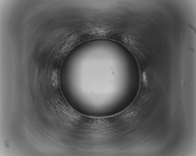 X0000100781203200806261621