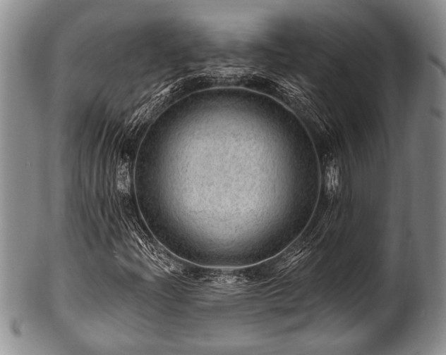 X0000100781204200806261621