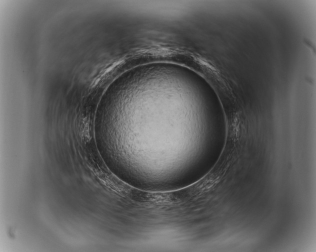 X0000100781205200806261621