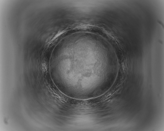 X0000100781206200806261621