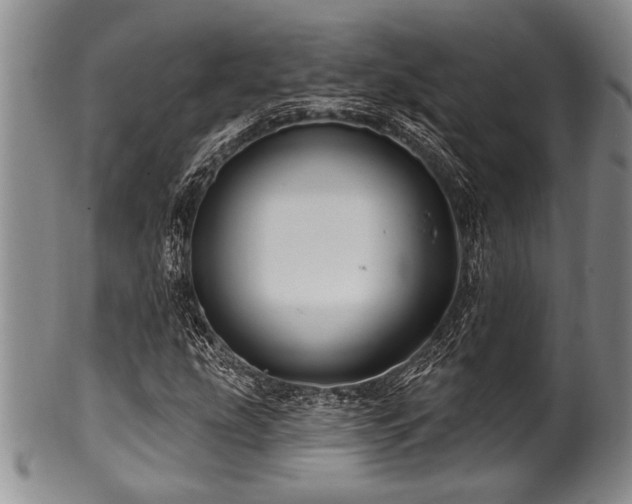 X0000100781207200806261621