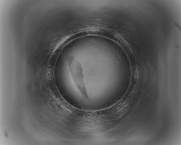 X0000100781208200806261621