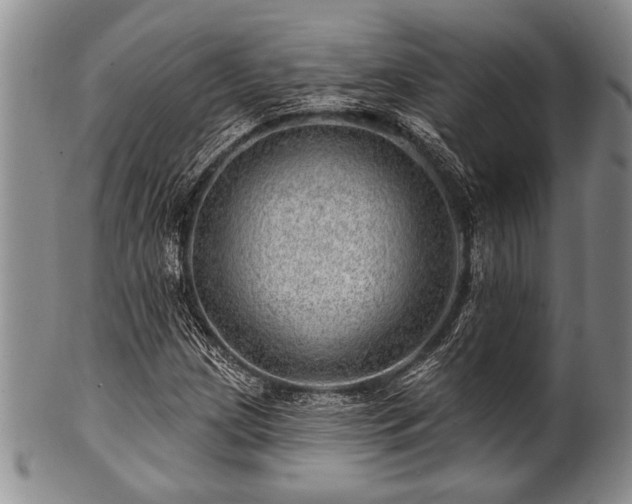 X0000100781209200806261621