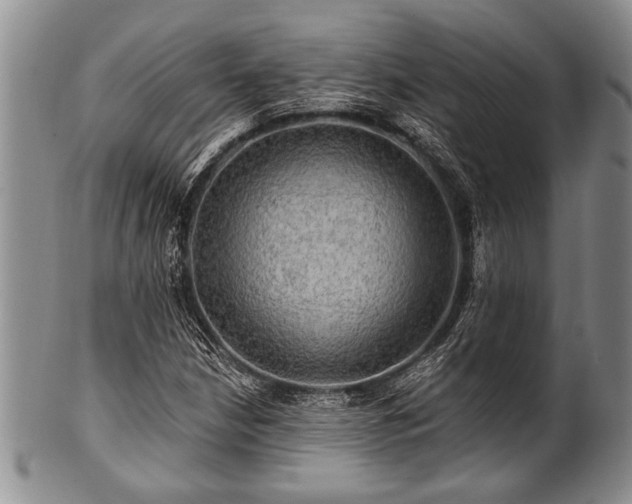 X0000100781210200806261621