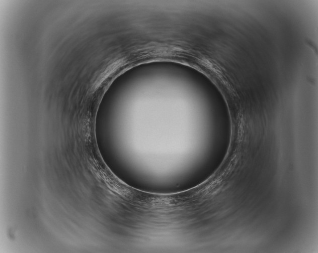 X0000100781211200806261621