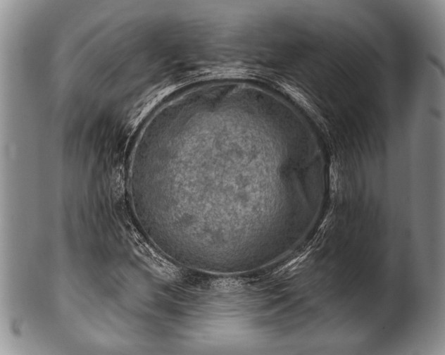 X0000100781212200806261621