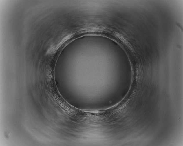 X0000100781213200806261621